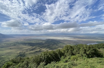 gepard-junge-tansania image gepard-junge-tansania image